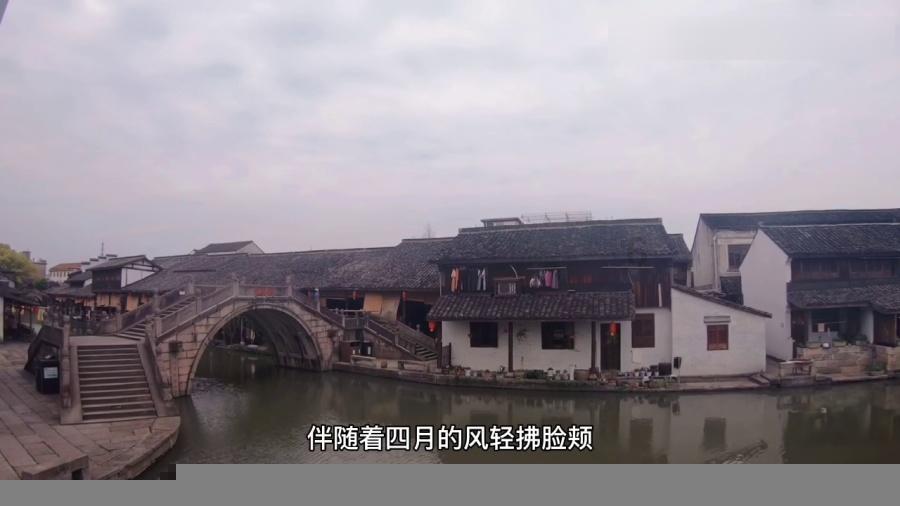 数码宝贝8