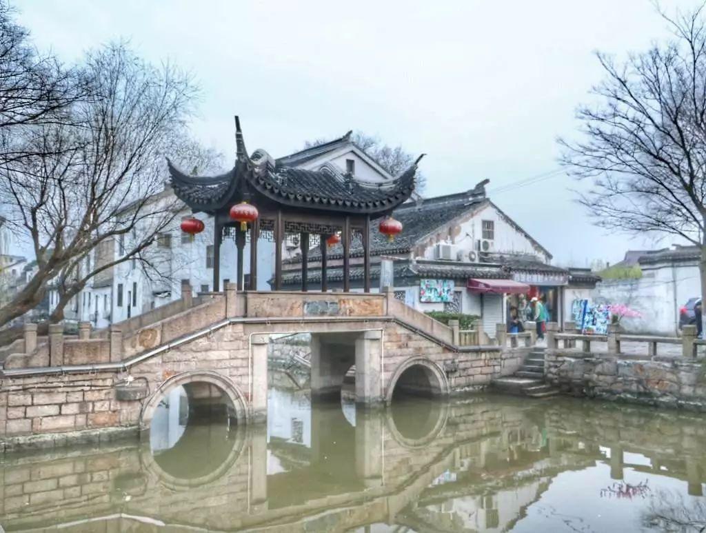 植物大战僵尸：花园战争