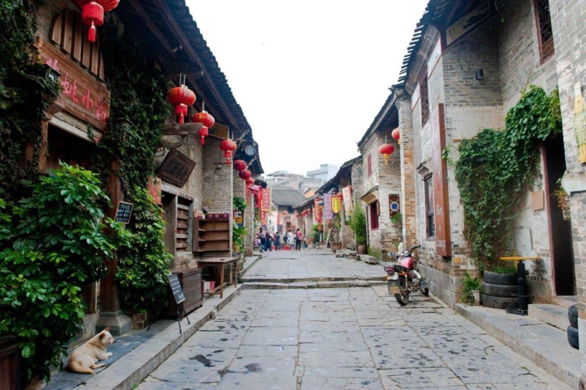 营救小乌龟