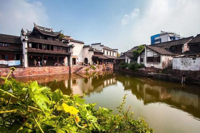 小僵尸射飞鸟