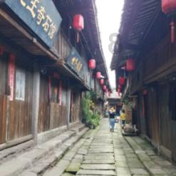 救援小洋葱