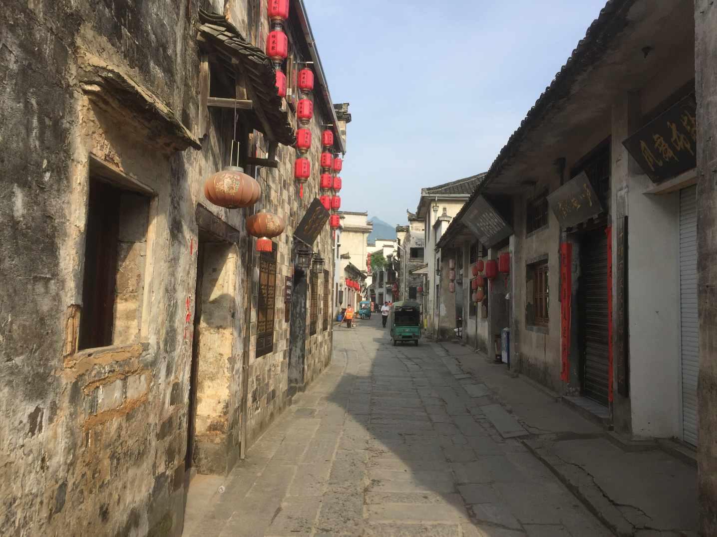 Danni老师手把手教1-2年学生做科学类PBL