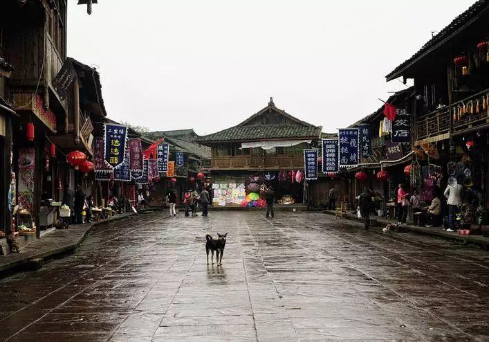 御龙在天手游