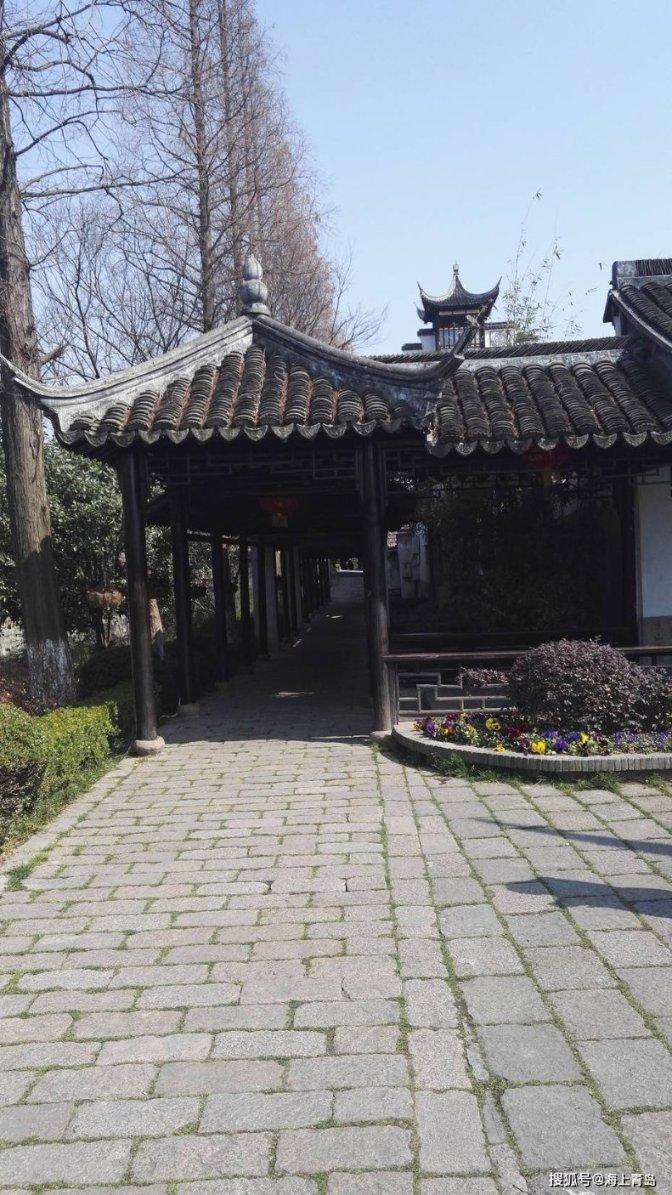 温州代表团继续审议省政府工作报告