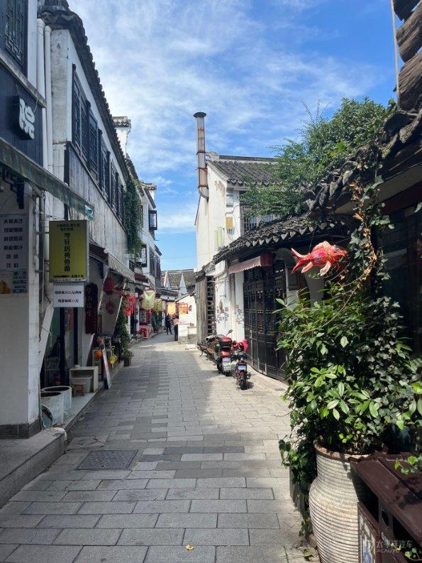 实拍获救的一级保护动物金雕被放飞:放飞前喂一盘肉 展翅飞向天空