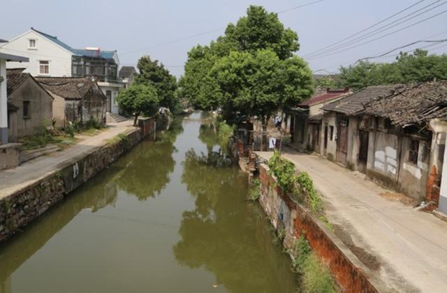 子贡和子路：谁更受孔子喜爱