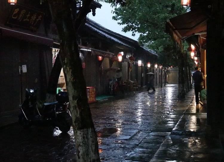 丛林之决战