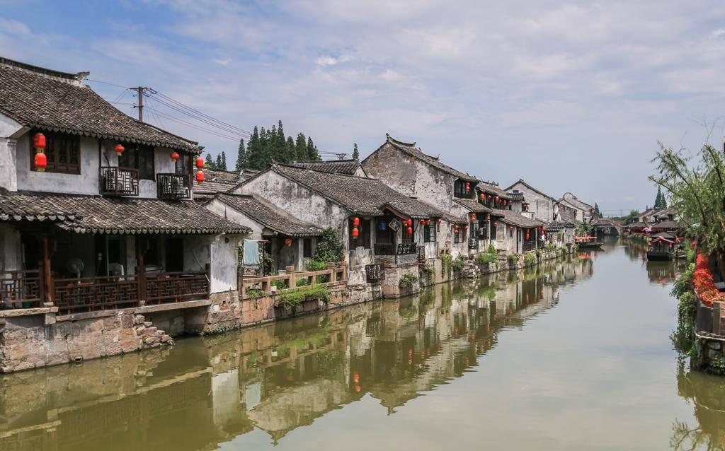 无休止的树