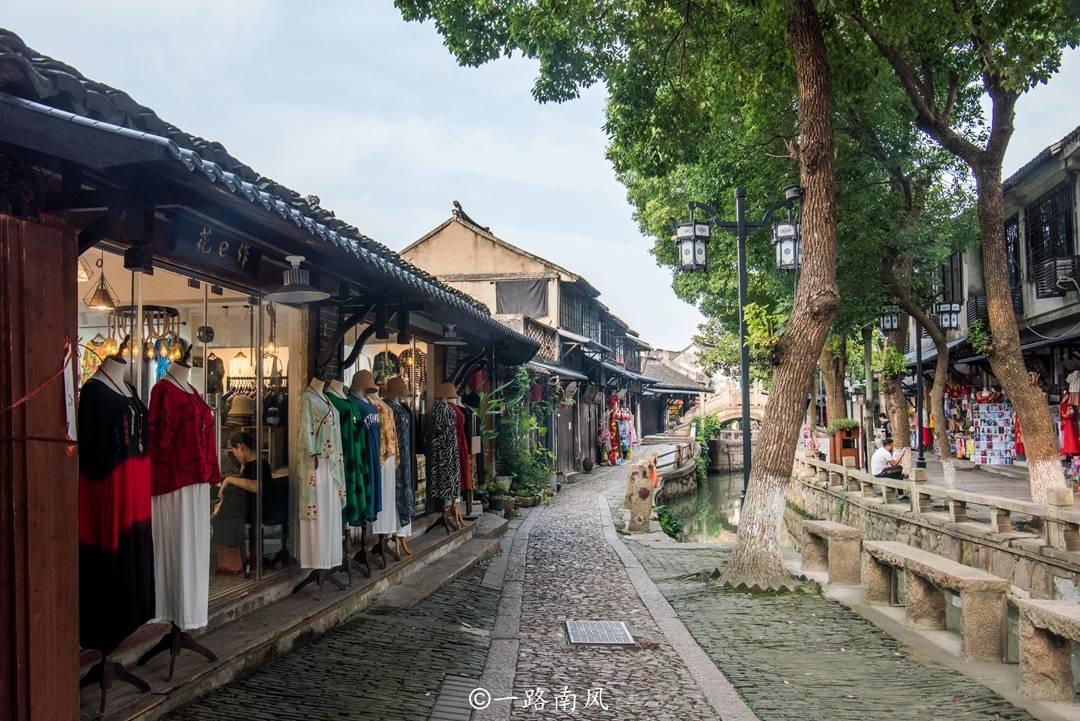 拯救枯树