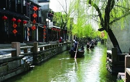 甘肃天水的青少年学子学习武术,拳法行云流水,一身浩然正气,网友评论:少年强则国强