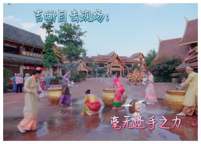 救援可爱小猪仔