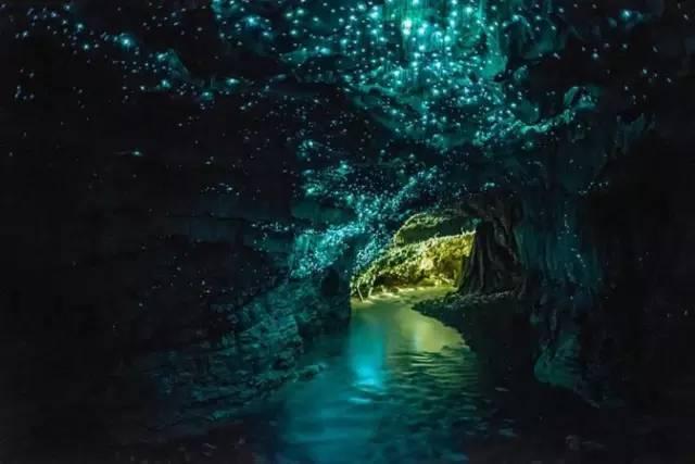 牛油果面包