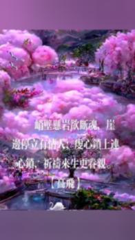 小猫钓鱼正版下载中文版